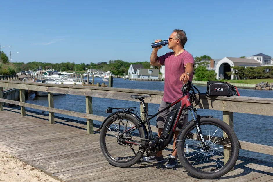 electra bike basket