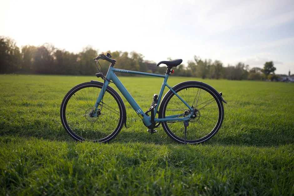 macfox e bikes