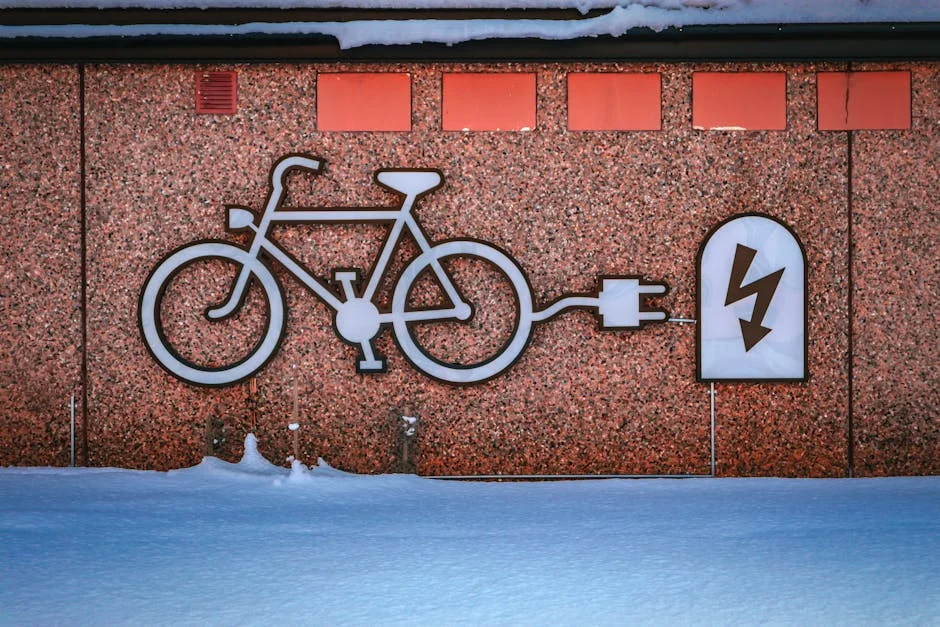 Rad Power Bikes RadRunner Plus Buyer's Guide