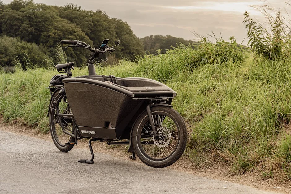 cargo electric tricycle