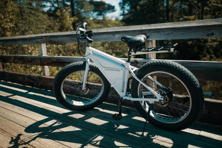 PEXMOR Electric Bike Conversion Kit: Options and Specs