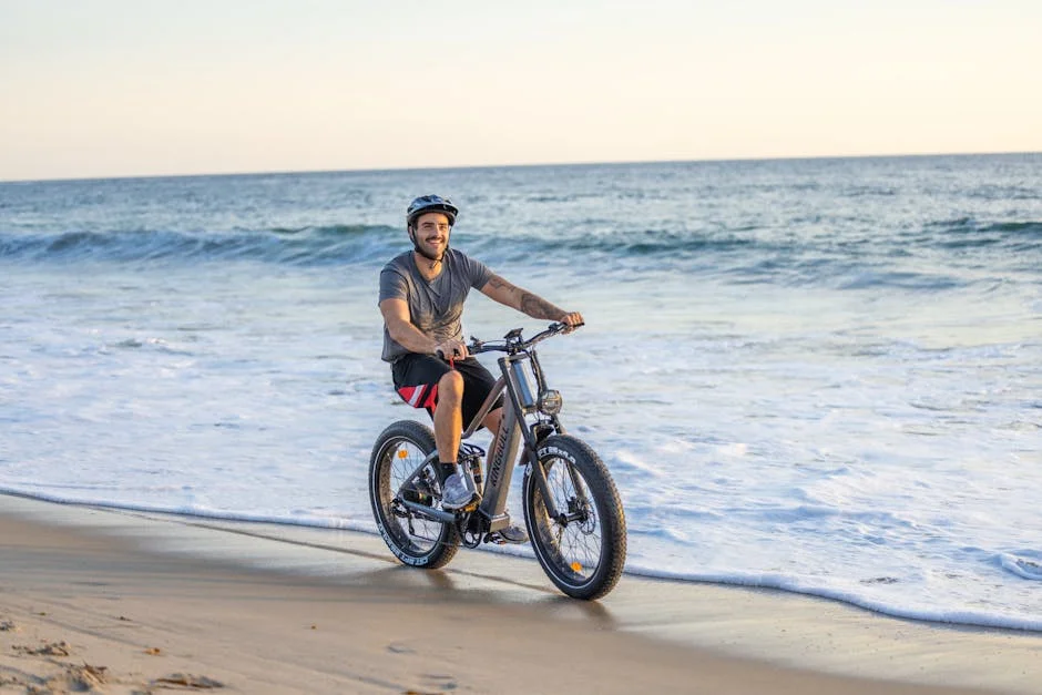 electric bicycle cruiser