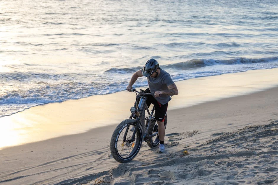 wired cruiser ebike