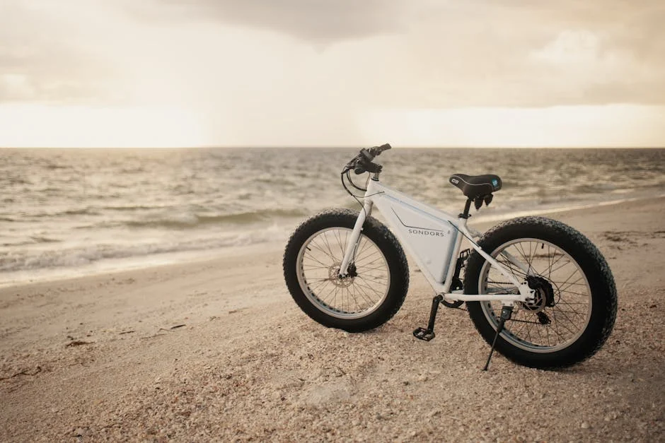 himiway cruiser ebike