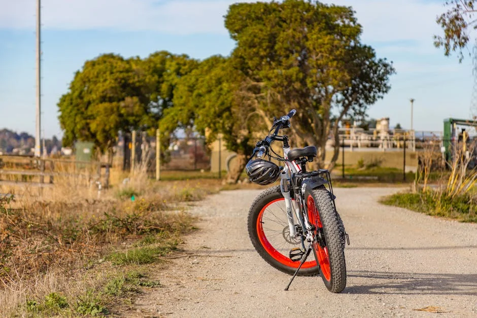 fat ebike