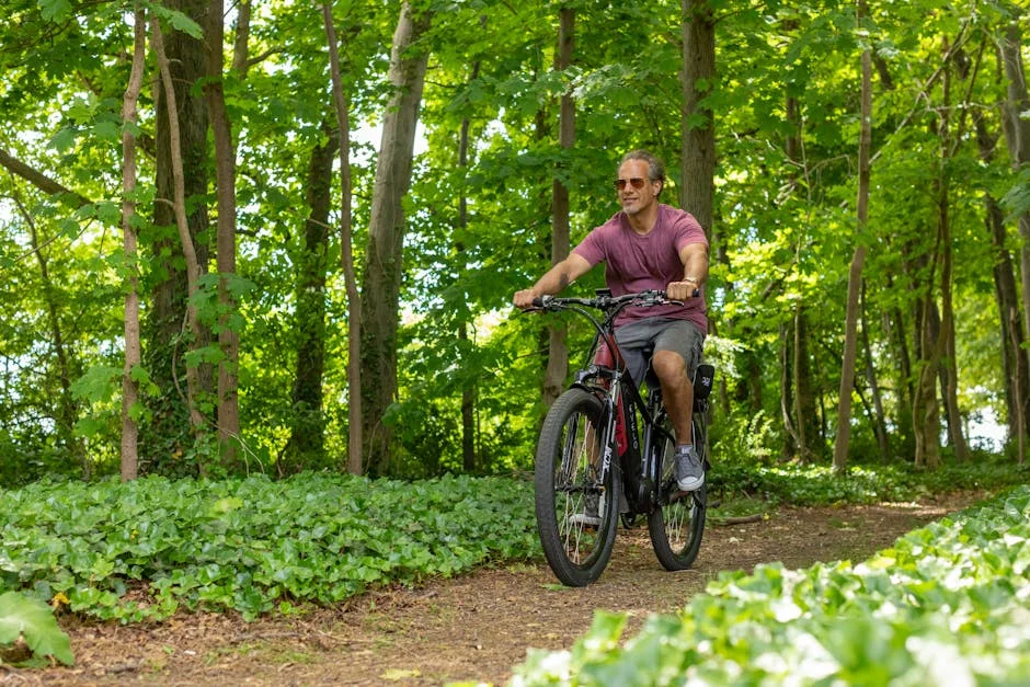 e bike fold
