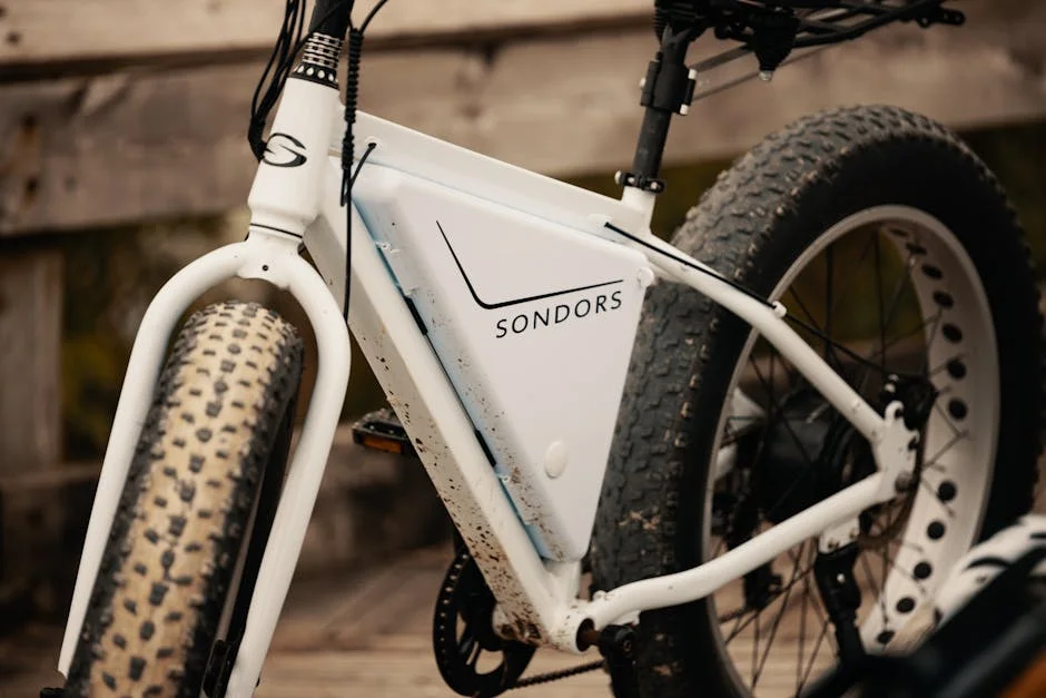 electra bell bike