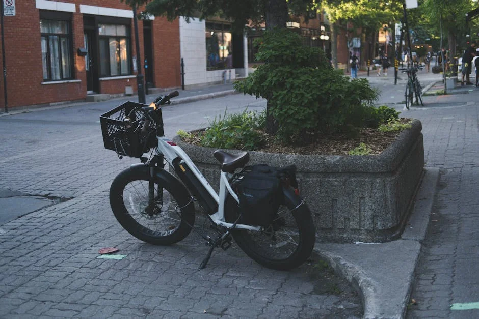 ebike bike rack