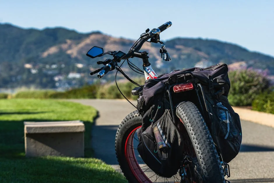 fat tire ebike for snow