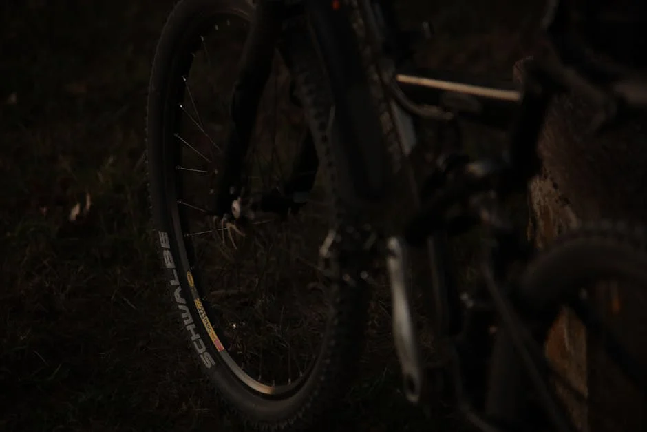 three-wheel electric bikes