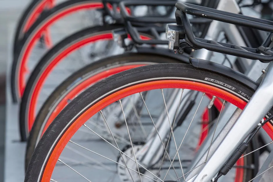 fat tire ebike for snow