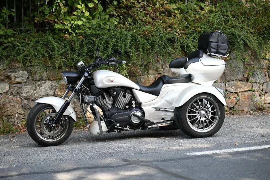 6 Best Foldable Electric Tricycles Reviewed for 2024